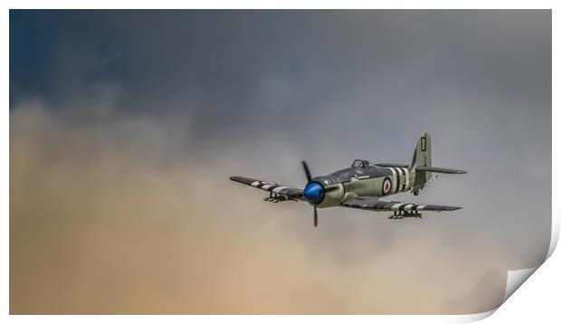 Sea Fury Warplane  Print by Pete Evans