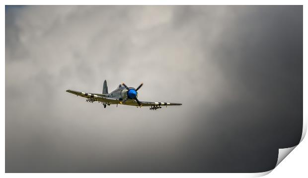 The Hawker Sea Fury Print by Pete Evans