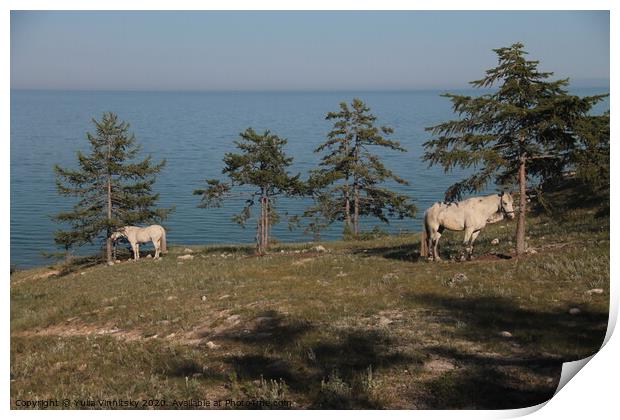 Baikal and horses landscape Print by Yulia Vinnitsky