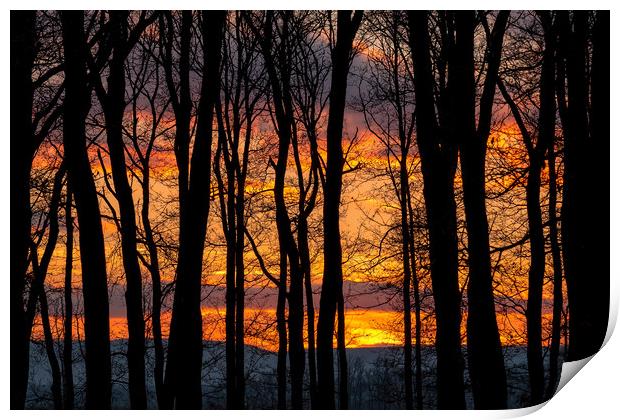 Sunset behind a silhouette of trees Print by Arpad Radoczy