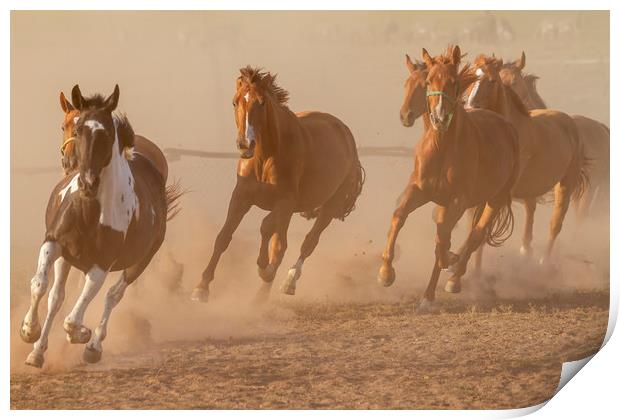 Nice herd gallops in the dust Print by Arpad Radoczy
