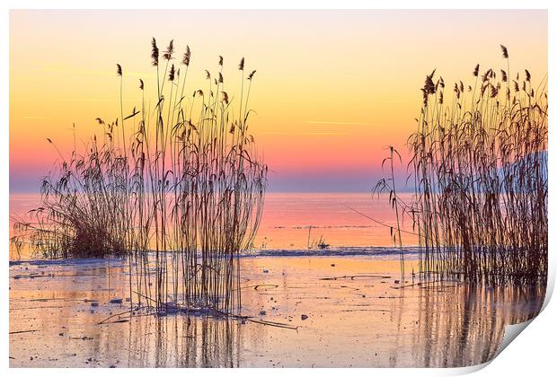 Winter sunset over the lake Balaton of Hungary Print by Arpad Radoczy