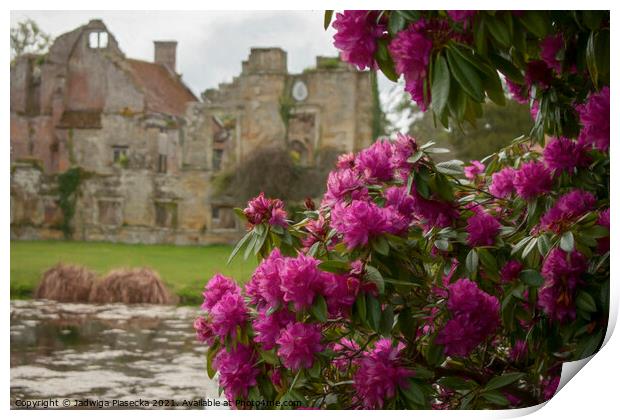 Flowers at Scotney Castle  Print by Jadwiga Piasecka