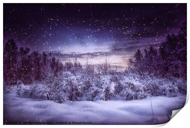 Frosty Night - Finnish Lapland Print by Jadwiga Piasecka