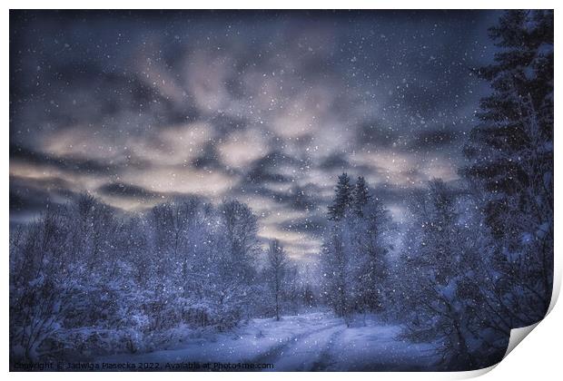 Snowy Forest - Finnish Lapland Print by Jadwiga Piasecka