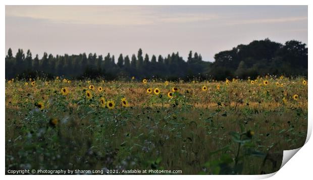 The Happy Field Print by Photography by Sharon Long 