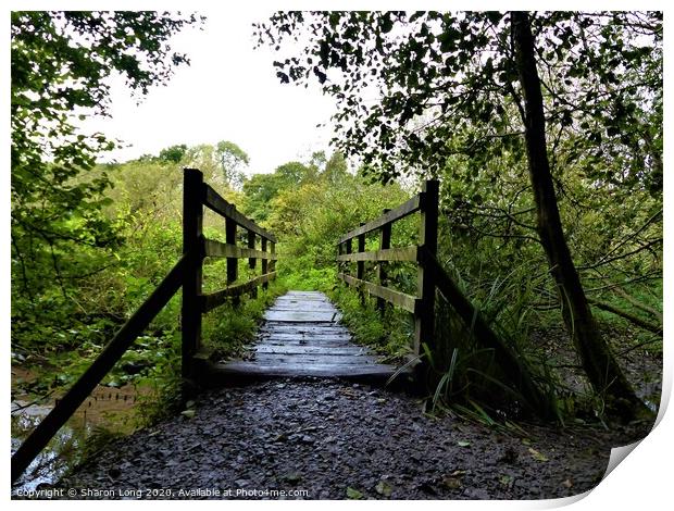 The Ladybridge in Dibbinsdale Nature Reserve  Print by Photography by Sharon Long 