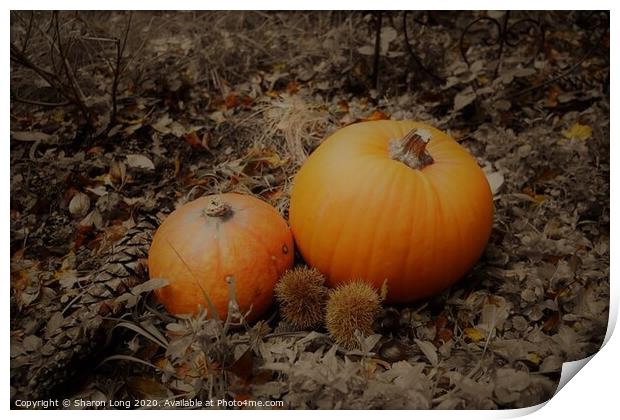 Autumn Harvest Print by Photography by Sharon Long 