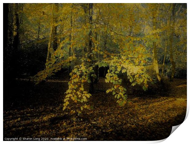 Natures Gold of Eastham Woods Print by Photography by Sharon Long 
