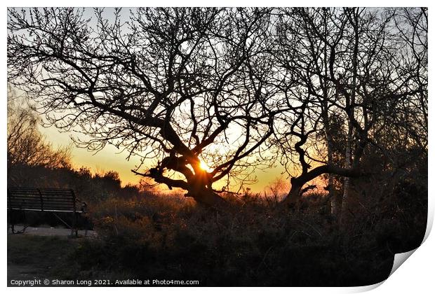 Sunset On Bidston Hill Print by Photography by Sharon Long 