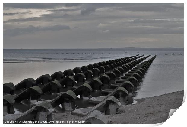 Wave Breakers in New Brighton Print by Photography by Sharon Long 