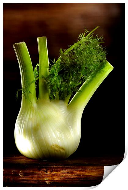 a green fennel on a wood table Print by Alessandro Della Torre