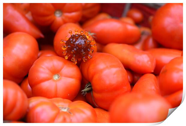 coronavirus covid-19 on tomatoes in a basket Print by Alessandro Della Torre