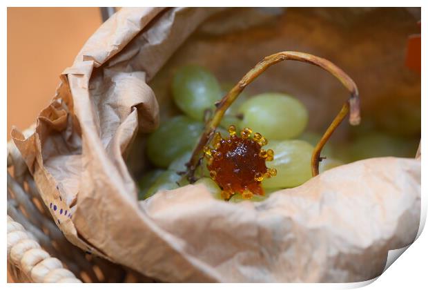 coronavirus covid-19 into a bag of grapes green Print by Alessandro Della Torre