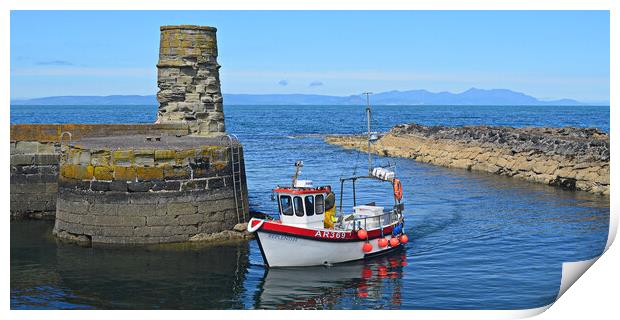 Dunure harbour arrival Print by Allan Durward Photography