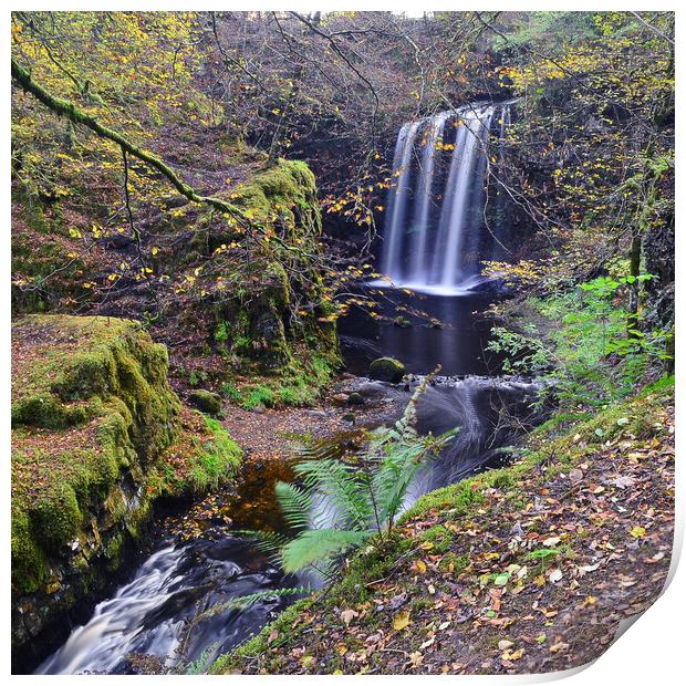 Dalcairney waterfall East Ayrshire Print by Allan Durward Photography