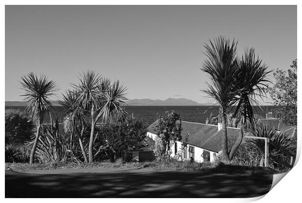 Dunure palm trees and Arran`s mountains Print by Allan Durward Photography