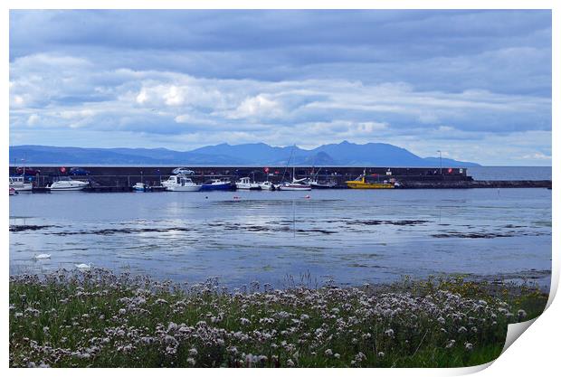 Maidens harbour, South Ayrshire Print by Allan Durward Photography