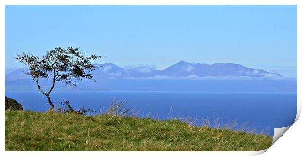 Lone tree and Isle of Arran Print by Allan Durward Photography
