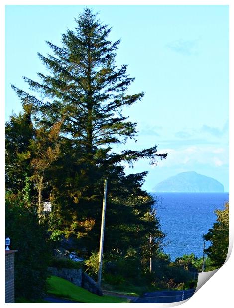 Looks like a road to nowhere.  Print by Allan Durward Photography