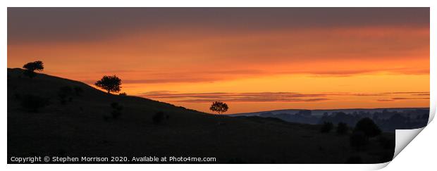 Three tree silhouette sunset Print by Stephen Morrison