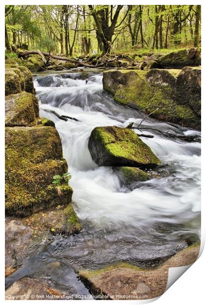 The River Fowey At Golitha Falls, Cornwall. Print by Neil Mottershead