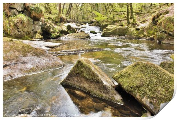 The River Fowey At Golitha. Print by Neil Mottershead