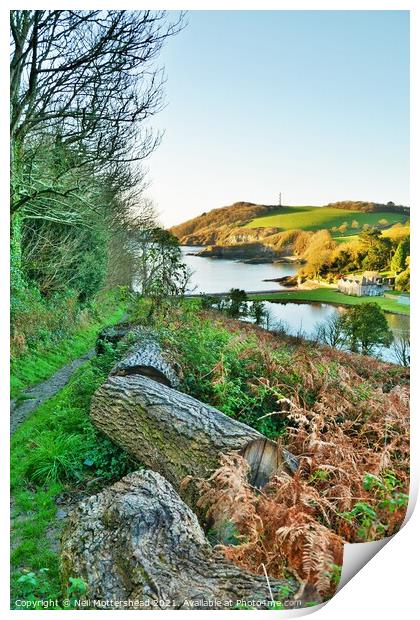 Path To Polridmouth. Print by Neil Mottershead