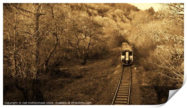 The Looe Valley Line Collection. Print by Neil Mottershead