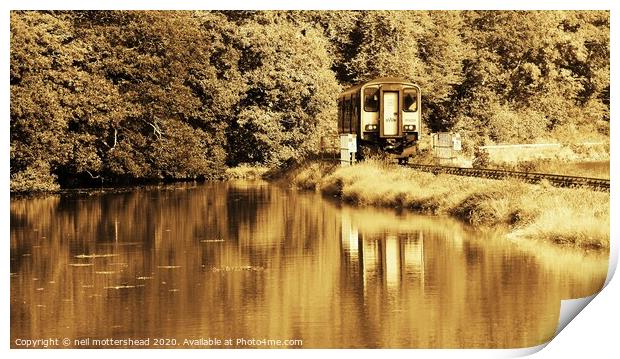 The Looe Valley Line Collection. Print by Neil Mottershead