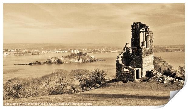 Castle & Island. Print by Neil Mottershead