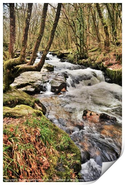 River Fowey, Cornwall. Print by Neil Mottershead