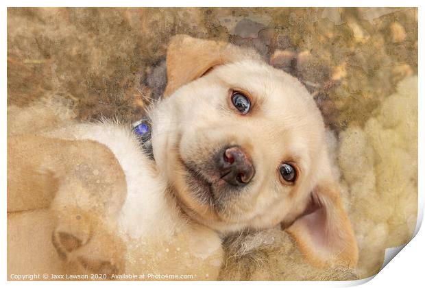 Puppy dog eyes Print by Jaxx Lawson
