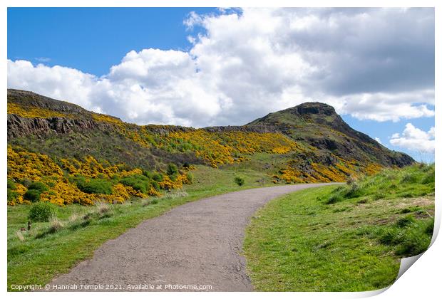 Holyrood Park Print by Hannah Temple