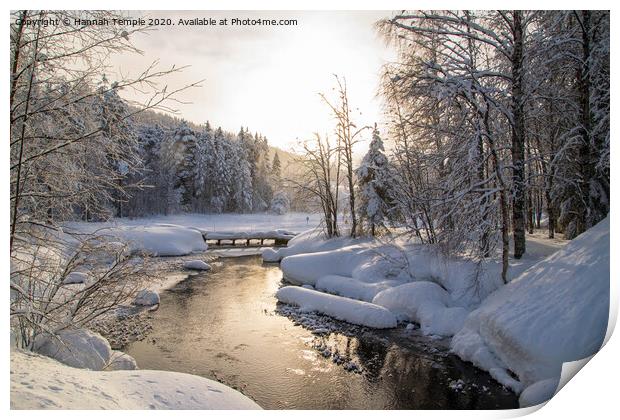 Golden Sunlight on the River  Print by Hannah Temple