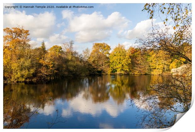 Autumnal Reflections Print by Hannah Temple