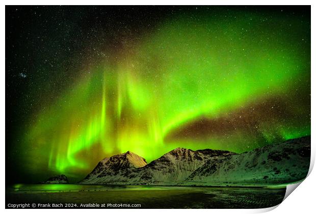 Northern lights aurora on Lofoten, Norway Print by Frank Bach
