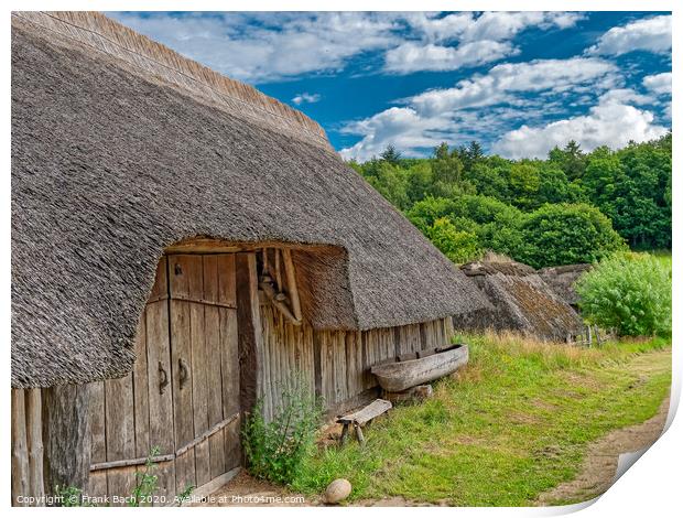 Iron age settlement living museum near Vingsted Vejle, Denmark Print by Frank Bach
