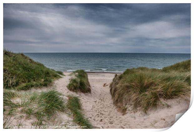 Dunes at the North Sea Coast in Jammerbugt, Denmark Print by Frank Bach