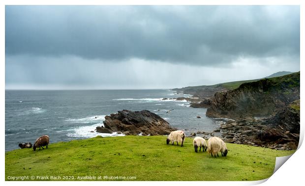 Achill head in county Mayo on the west coast of Ireland Print by Frank Bach