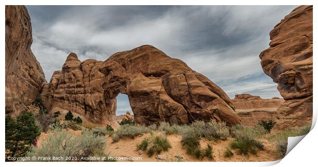 Pine tree Arch in Arches National Monument, Utah Print by Frank Bach
