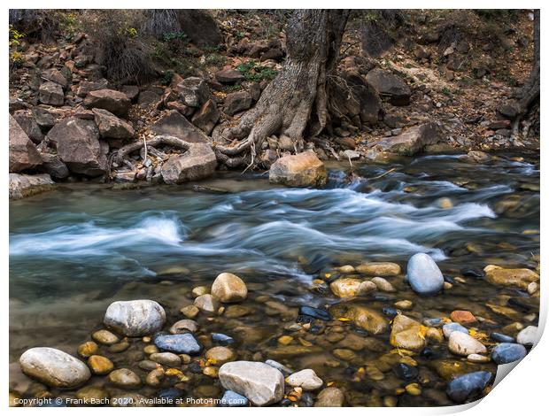 Creek in the Narrows Zion national park, Utah Print by Frank Bach
