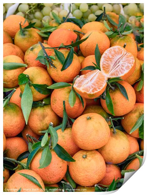Clementines on a farmers market in Rome, Italy Print by Frank Bach