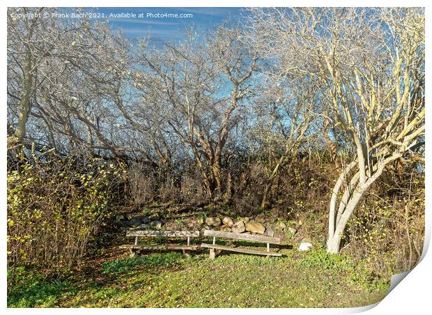Worn out benches on the small island Nyord in the the archipelag Print by Frank Bach