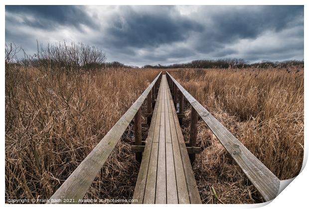 National Park Vejlerne walking paths in North West Denmark Print by Frank Bach