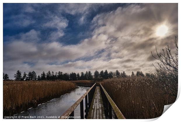 National Park Vejlerne walking paths in North West Denmark Print by Frank Bach