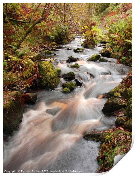 Babbling stream running through woodland Print by Richard Ashbee