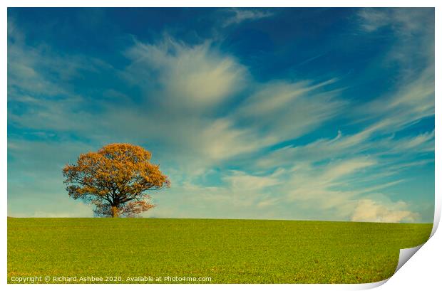Lonely autumn tree Print by Richard Ashbee