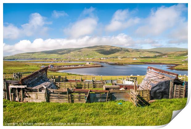 Traditional Shetland boat sheds at Cunningsburgh Print by Richard Ashbee