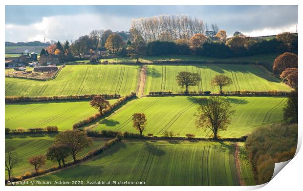 Yorkshire farmland Print by Richard Ashbee